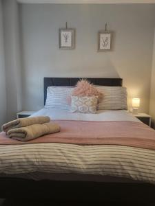 Fotografie z fotogalerie ubytování The Olive Cottages Axminster v destinaci Axminster