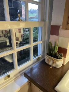 Naturlandskabet i nærheden af feriehuset