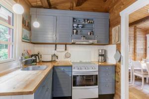 索尔图姆BL1694-Saltum-Klaus-Bjergsvej-8的带蓝色橱柜和水槽的厨房 更多17张照片