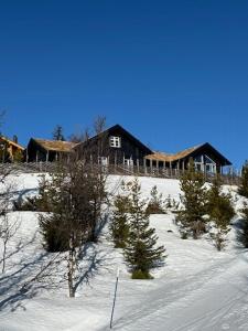 a house on top of a snowy hill with trees at Cabin With Panoramic Views Over The Mountains in Nesbyen