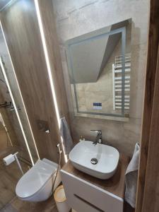 a bathroom with a sink and a toilet and a mirror at Apartament pod kopieńcem in Zakopane