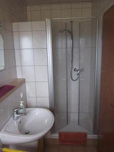 La salle de bains est pourvue d'une douche et d'un lavabo. dans l'établissement Gästehaus Jüngling, à Kottenborn