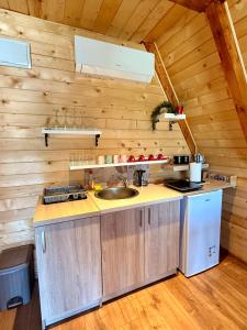a kitchen with wooden walls and a counter with a sink at Waterfront Peace in Mojkovac