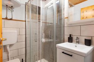 格雷桑Il Nido Di Montagna的带淋浴、水槽和马桶的浴室 更多12张照片