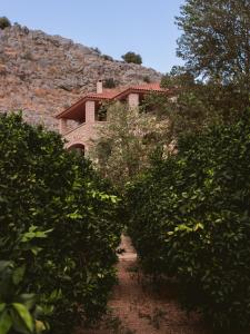 a house behind a hedge in front of a building at NafplioBiofarms Country Apartments in Nafplio