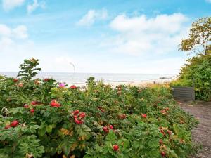 a bush with red flowers in front of a beach at Seaside Panorama Escape - By Traum Ferienwohnungen in Otterup