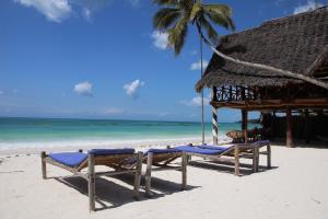 a beach with two chairs and a hut and the ocean at Blu Marlin Village in Kiwengwa