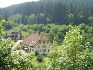 a large house in the middle of a forest at Gästehaus Brigitte Kienzler in Gremmelsbach
