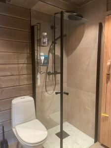 a bathroom with a toilet and a shower at Leilighet på Gaustablikk in Gaustablikk +14 photos