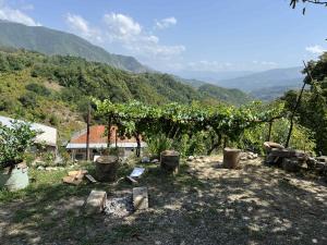 a view of a vineyard with mountains in the background at Natas Saxli in K'vemo Zhoshkha