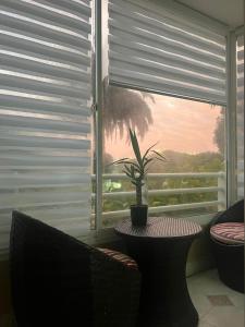 a room with a window with a table and a plant at Departamento Full Equipado in Concón