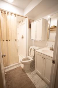 a bathroom with a toilet and a shower and a sink at Blue Boho Music and Meme House Four Bedroom Home with Arcade near Westport Plaza in Maryland Heights +30 photos