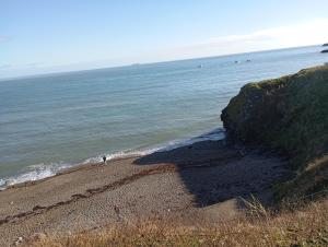 a beach with people on the sand and the ocean at Sarways in Wicklow