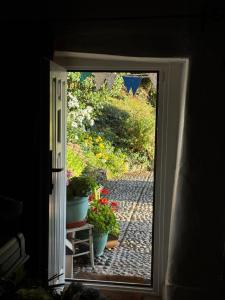 une porte ouverte avec des plantes en pot sur un chemin dans l'établissement Chineway Cottage, à Ottery St Mary