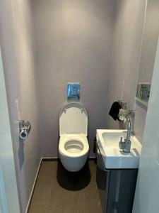 a small bathroom with a toilet and a sink at La maison du Gouty in Froid-Chapelle +13 photos
