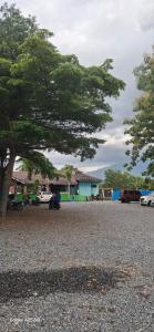 a tree in the middle of a gravel parking lot at sahati homestay and swimingpool in Payakumbuh +10 photos