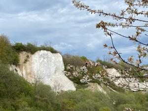 a large rock in the middle of a hill with trees at Wohnung - Fisch Am kleinen Königsstuhl in Sagard