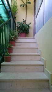 una escalera con macetas en el lateral de un edificio en Apartments Petković, en Kućište
