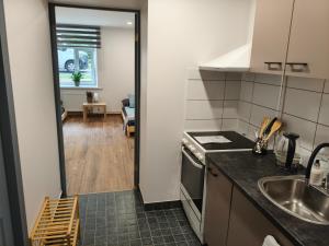 a kitchen with a sink and a counter top at Ērts vienistabu dzīvoklis Rīgā in Rīga +16 photos