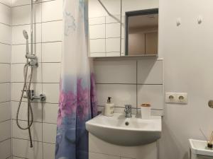 a bathroom with a sink and a shower at Ērts vienistabu dzīvoklis Rīgā in Rīga