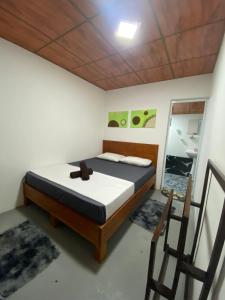 una camera da letto con un letto e una sedia di Zyon Bay Hostel Hiriketiya - Surf, Sun & Smile a Hiriketiya