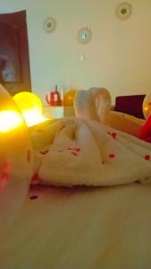 Afbeelding uit fotogalerij van LLOYDS BEACH RESORT and SPA in Kokrobite