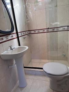 um banheiro com vaso sanitário, pia e chuveiro em La Rosa Loft em Ciudad del Este