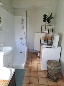 a bathroom with a shower and a toilet and a sink at Laurette Maison familiale, Vallée de la Somme in Sailly-Laurette