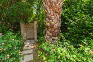 Gallery image of Hotel Gallo Nero in SantʼAndrea