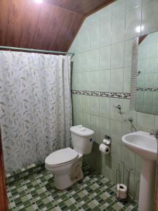 a bathroom with a toilet and a sink at La Yeguada - Forest Point Cabin in El Quije +47 photos