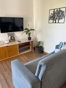 a living room with a couch and a flat screen tv at Apartamento Pelotas in Pelotas