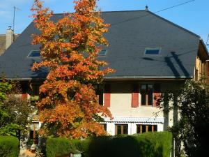 a house with a tree in front of it at La Grange in Doussard