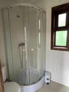 a bathroom with a glass shower with a toilet at Cabaña entre alamos in Coihaique