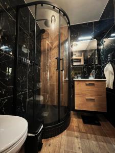 a bathroom with a shower and a toilet at Apartment Sport & Sauna Prague in Prague