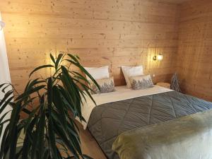 尚帕尼奥勒Le Chablis'cîmes的一间有床的房间,里面装有植物