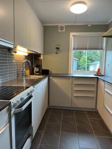 Kuchyň nebo kuchyňský kout v ubytování Treroms leilighet på Lunheim + 15 fotografií