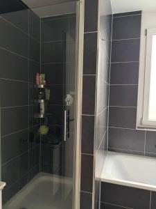 a bathroom with a shower and a bath tub at Design-Apartment - Garten - Parken - Küche in Böblingen +33 photos