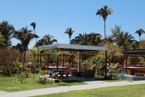 a picnic shelter in a park with palm trees at Pousada Casa de Naná in Palmas