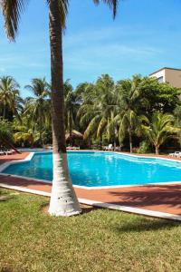 a palm tree sitting next to a swimming pool at Sea Bloom in Cancún