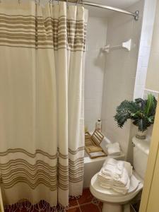 a bathroom with a shower curtain and a toilet at Daytona oceanfront two-bedroom suite in Daytona Beach
