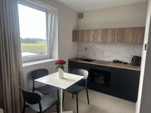 Kuchyň nebo kuchyňský kout v ubytování Apartamenty Witnica