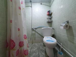 a bathroom with a toilet and a shower curtain at Sweet Home 2 in Dilijan +33 photos