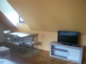 TV a/nebo společenská místnost v ubytování Apartmány v Centru