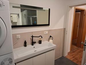 a bathroom with a sink and a mirror at Apartment Fabiola Hamberg strasse 34 in Siegen in Niederdorla +46 photos
