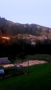 ヴェルホヴィナにあるЗатишні Карпати))のギャラリーの写真