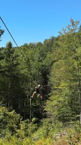 Afbeelding uit fotogalerij van TREE HOUSE with 850 feet ZIP LINE 