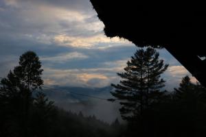 Afbeelding uit fotogalerij van TREE HOUSE with 850 feet ZIP LINE 