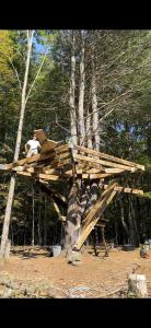 Afbeelding uit fotogalerij van TREE HOUSE with 850 feet ZIP LINE 