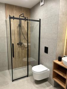 ソスノヴィエツにあるApartament 37のシャワー、トイレ、洗面台を備えたバスルーム