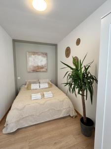 Postel nebo postele na pokoji v ubytování UrbanSoul Millau + 9 fotografií